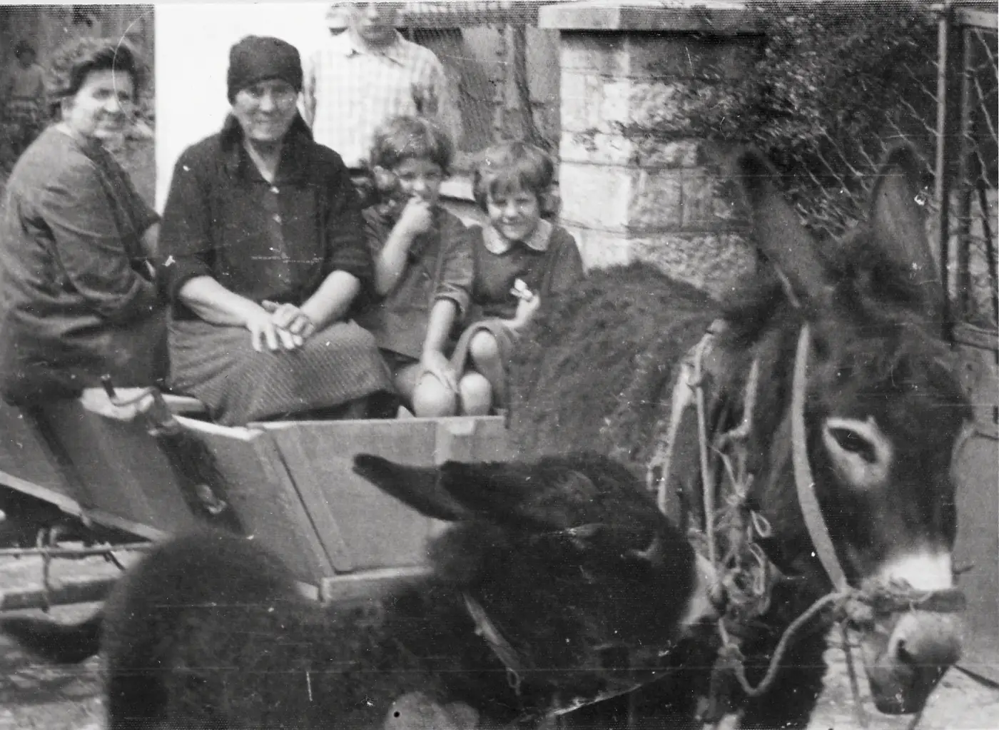 Ližnjan, 1970s