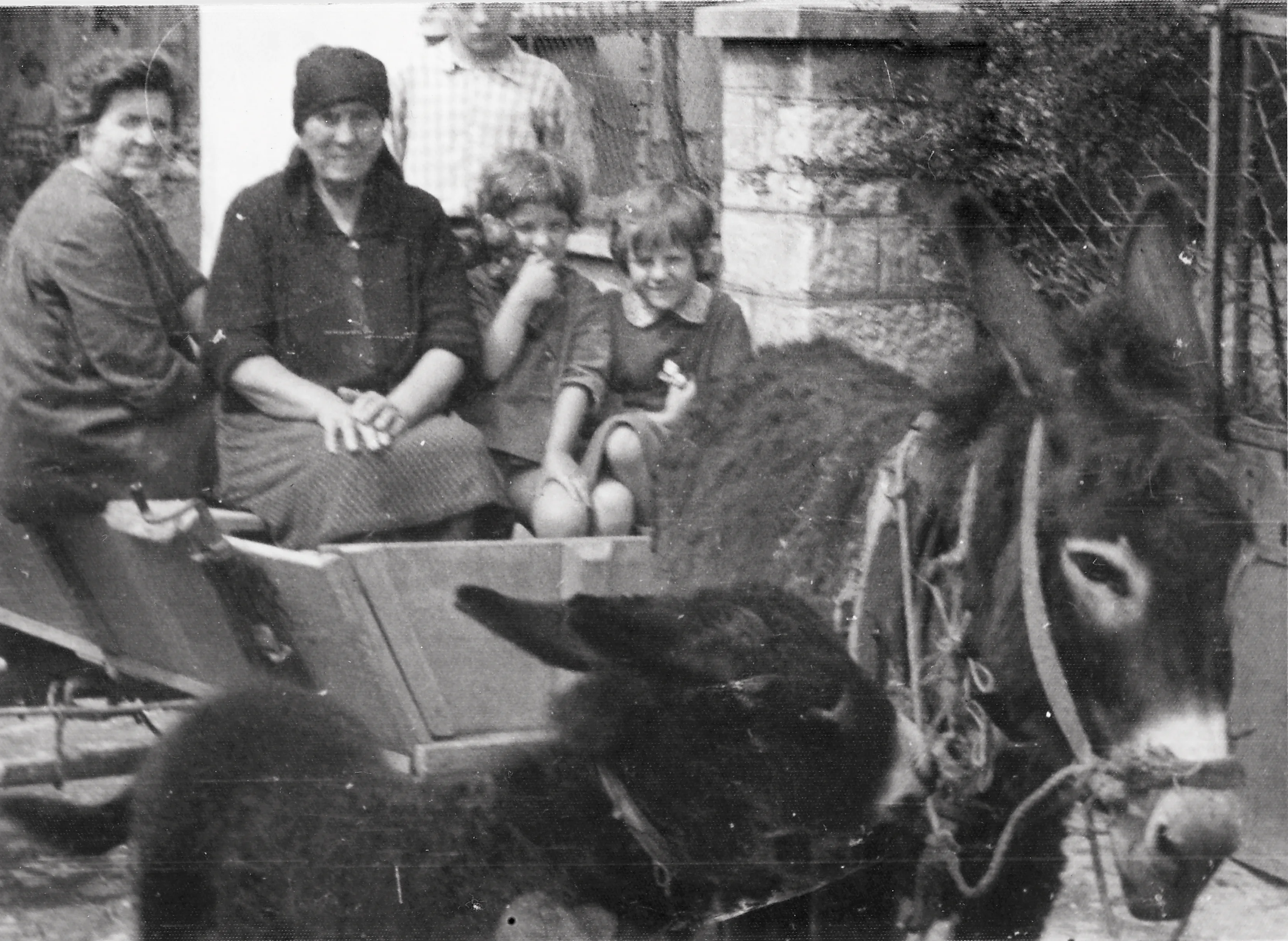 Ližnjan, 1970s
